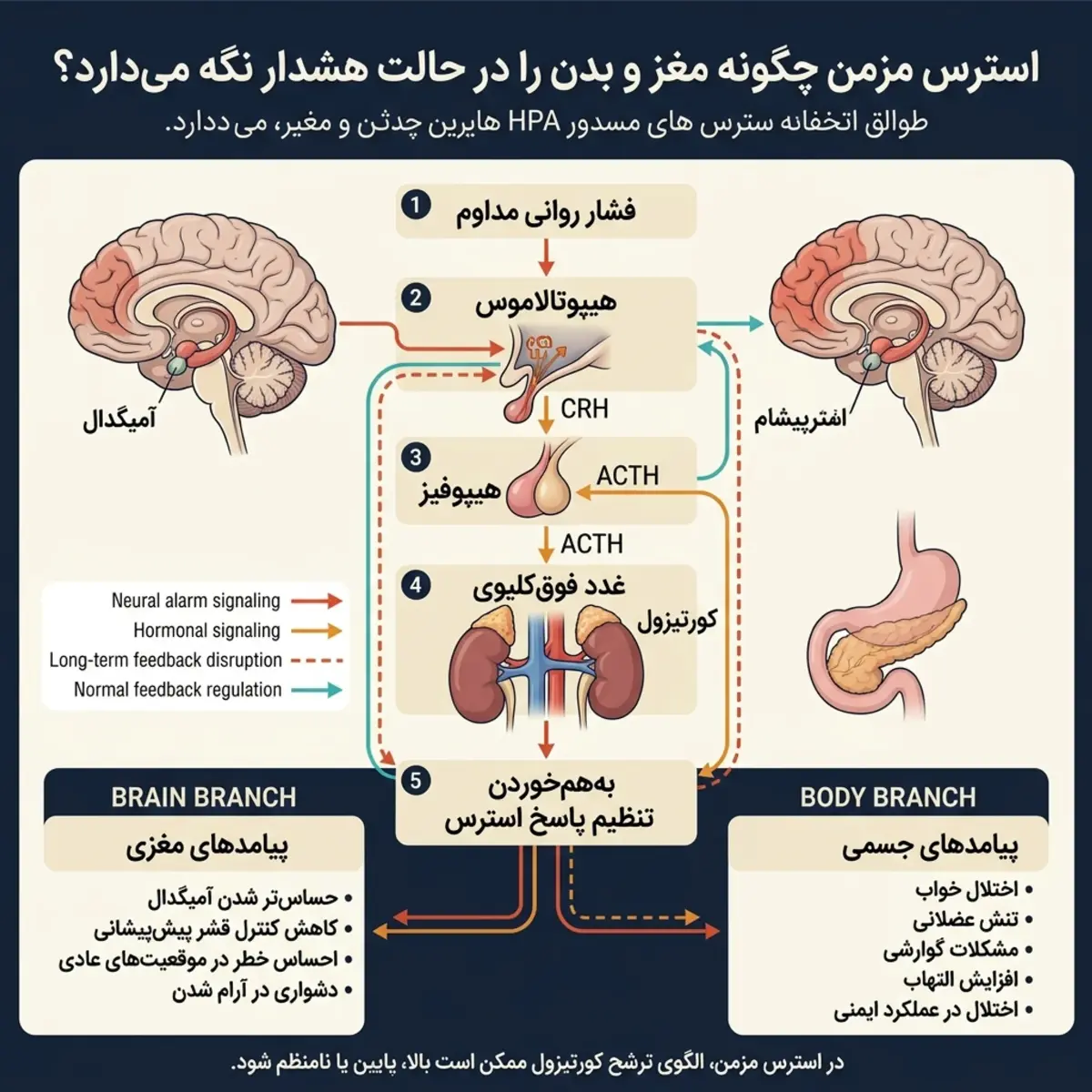 حس خطر پنهان و استرس روزمره در زندگی