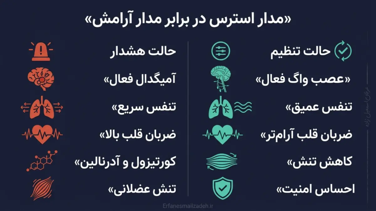 درمان بدون دارو ترس و استرس: چگونه مغز خود را بازسازی کنیم؟