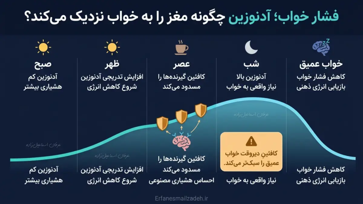 نوروساینس خواب و نقش آن در سلامت روان و کیفیت زندگی